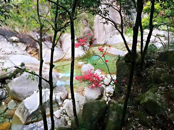 《黄山之旅》这真的只是抛砖引玉,更美的在后面